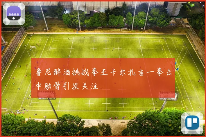 鲁尼醉酒挑战拳王卡尔扎吉一拳击中肋骨引发关注
